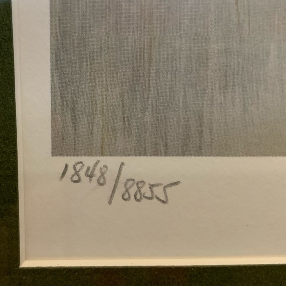 1987 Robert Bateman #1848 Hurricane Lake Wood Ducks - Picture 5 of 10